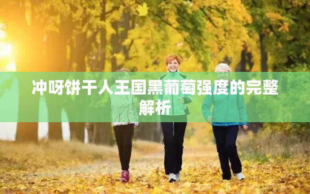 冲呀饼干人王国黑葡萄强度的完整解析