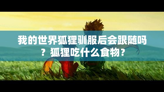 我的世界狐狸驯服后会跟随吗？狐狸吃什么食物？